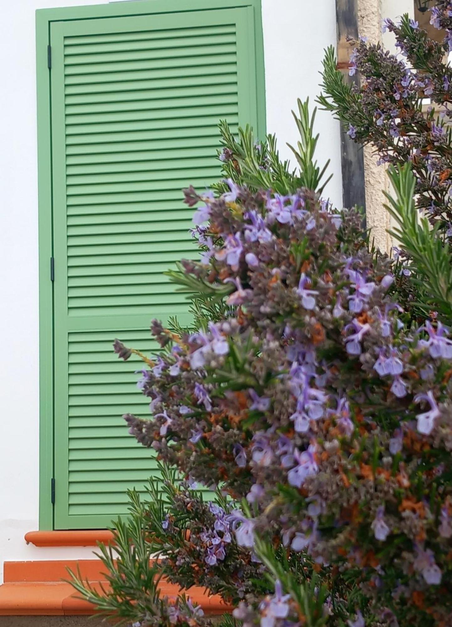 Dolci Risvegli Appartamento Vista Mare Ventimiglia Habitación foto