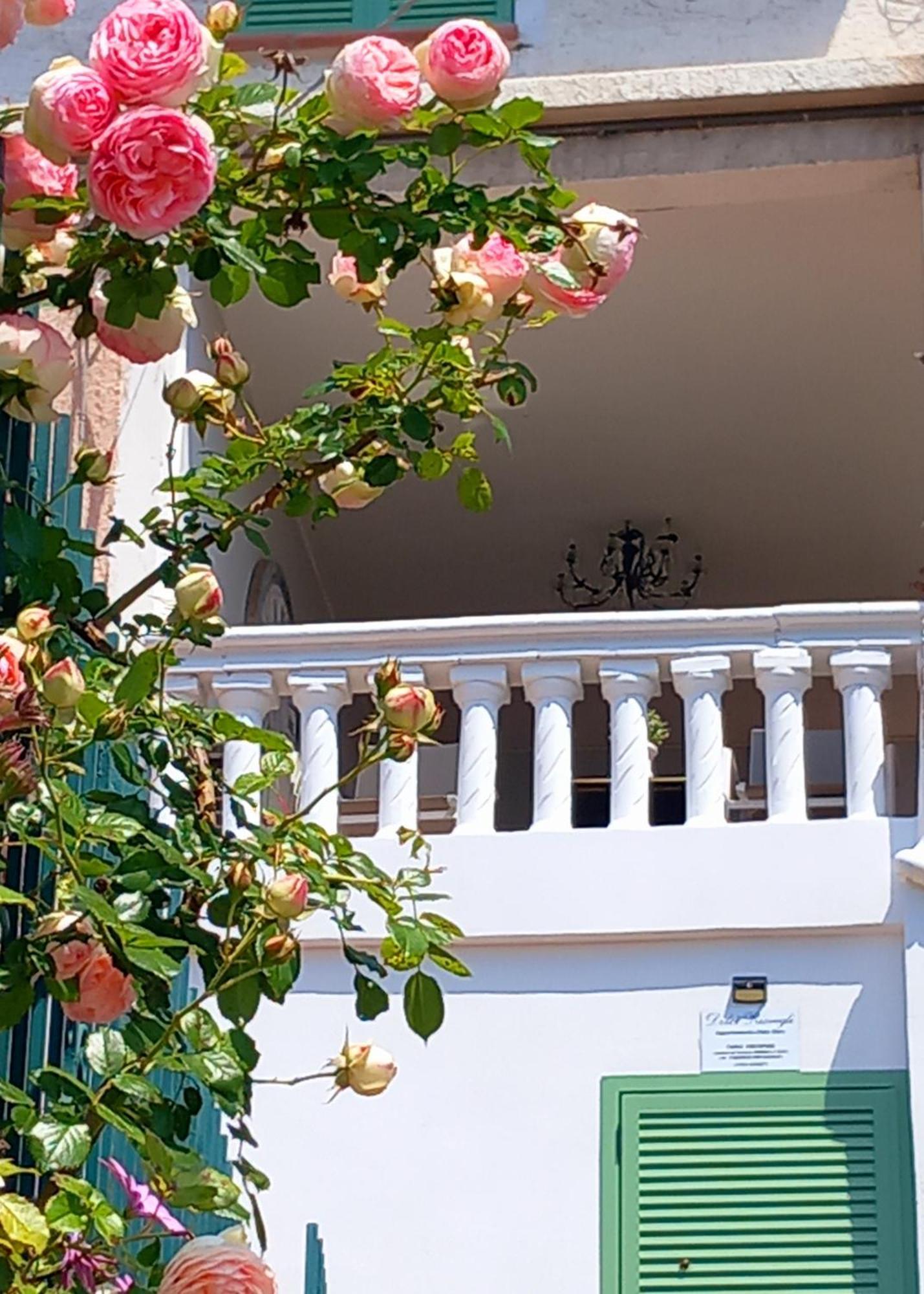 Dolci Risvegli Appartamento Vista Mare Ventimiglia Habitación foto